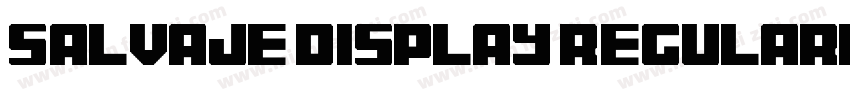 Salvaje Display Regular字体转换